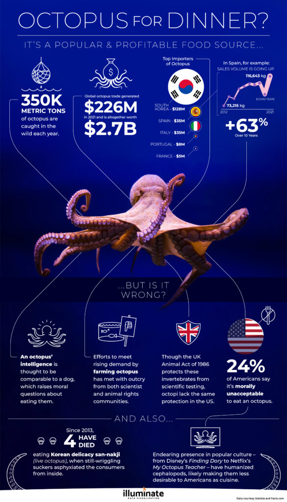 Octopus Infographic